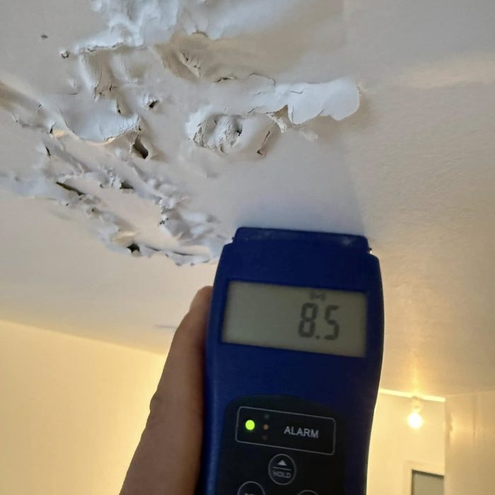 plafond2